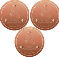 Bird Bath Copper Disk, Pure Copper Bird Bath Purification Disc, Save Cleaning Time, Chemical Free,Safe Natural Solution for Birdbaths Bowls&Waterfall Fountain, Year-Round Use (3 pcs)