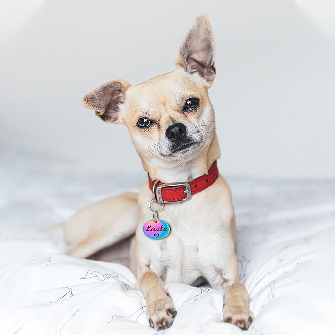 Anavia Small Size Dog Cat ID Tags, Small/XS Personalized Color Plated Stainless Steel Puppy Kitten Name Tags, Customized Engraved Nameplate Pet Collar Tag (Rose Gold, Oval)