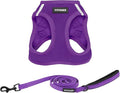 Best Pet Supplies Voyager Step-in Air All Weather Mesh Harness and Reflective Dog 5 ft Leash Combo with Neoprene Handle, for Small, Medium and Large Breed Puppies - Set (Purple), XXXS