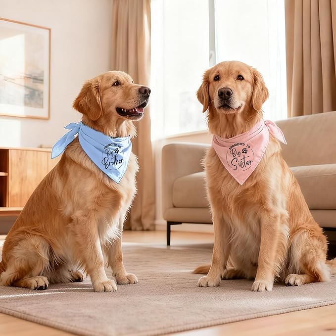 2 Pack Dog Bandana Pregnancy Announcement, Promoted to Big Brother and Sister Gender Reveal Puppy Dog Scarf Accessories, Adjustable Pet Bandana Scarf for Small Medium Large Dogs