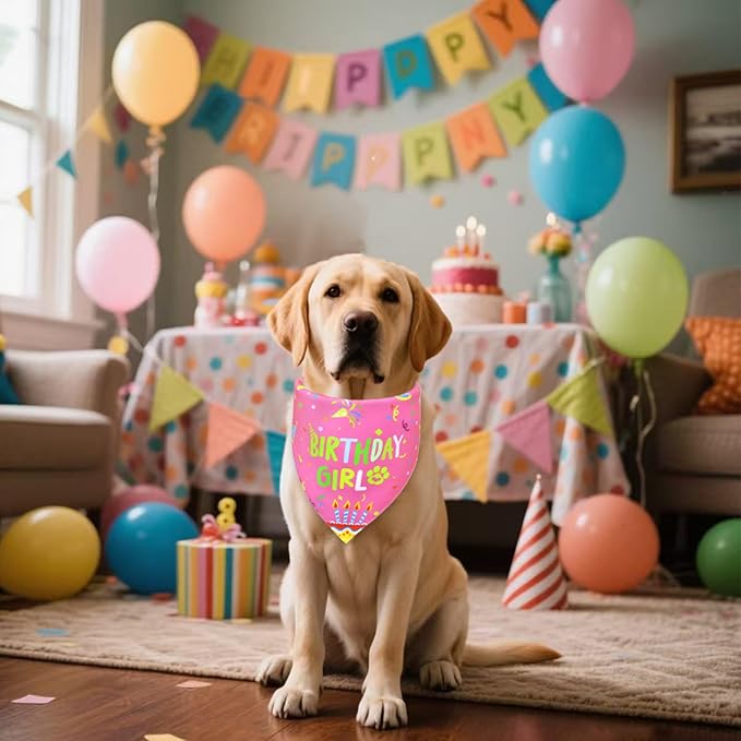 Dog Birthday Bandana Girl for Large X-Large Dogs, Reversible 2 Patterns in 1, Pink Confetti Scarf, Happy Birthday Party Outfit Puppy Gift (18-23" Neck)