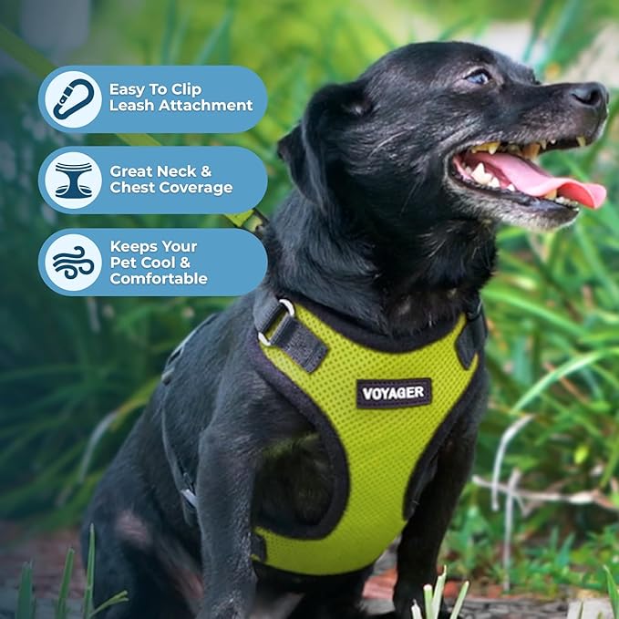 Voyager Step-in Pet Harness - All Weather Mesh, Adjustable Step in Harness for Cats and Dogs by Best Pet Supplies - Lime Green/Black Trim, XS