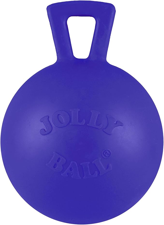 Jolly Pets Tug-n-Toss Heavy Duty Dog Toy Ball with Handle, 4 Inches/Petite, Blue (404 BL),Small Breeds