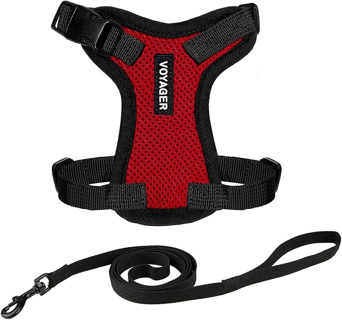 Voyager Escape-Proof Step-in Lock Cat Harness & 5ft Neoprene-Handle Leash Set All-Weather Mesh with Reflective Stitching for Small to Large Cats by Best Pet Supplies, Red/Black Trim, XXXS