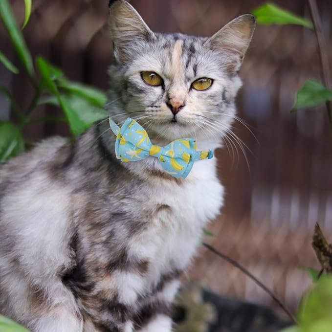 EXPAWLORER Cute Cat Collar Breakaway with Bells - 2 Pack Fruit Adjustable Pet Collar with Removable Bow Tie and Bandana, Safety Buckle for Girl Boy Cats Kitten, Banana