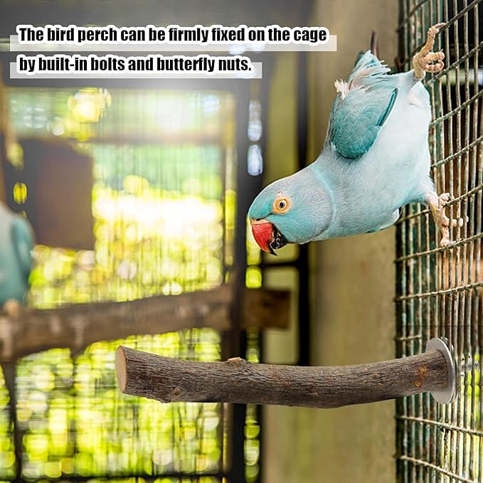 8 PCS Natural Bird Perch Set - Apple Wood Platforms & Hardwood Branches for Parakeets, Cockatiels, Lovebirds - Natural Cage Accessories, Gym Playstand & Chewing Toys for Small Birds
