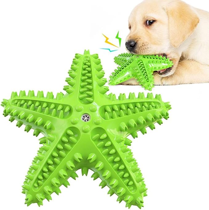 Chew Toy for Dog Toothbrush Stick Dog Toys for Aggressive Chewers Interactive Toys Treats Tough Toy to Keep Them Busy Chew Toys for Small Dogs (Star Toy - Green)