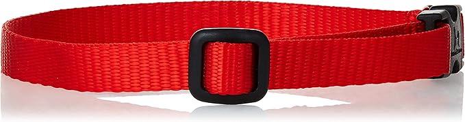 LupinePet Basics 1/2" Red 10-16" Adjustable Collar for Small Dogs