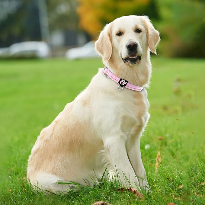 azuza Reflective Dog Collar,Soft Neoprene Padded Pet Collar with ID Tag Ring,Adjustable for Large Dogs,Pink,L