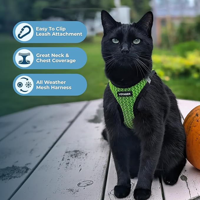 Best Pet Supplies - All Weather Mesh/Plush, Reflective, No Pull Harness for Small, Medium Dogs, Cats - Secure with Hook & Loop Fastener, Buckle, Double D-Rings - Lime Green 2-Tone, XS