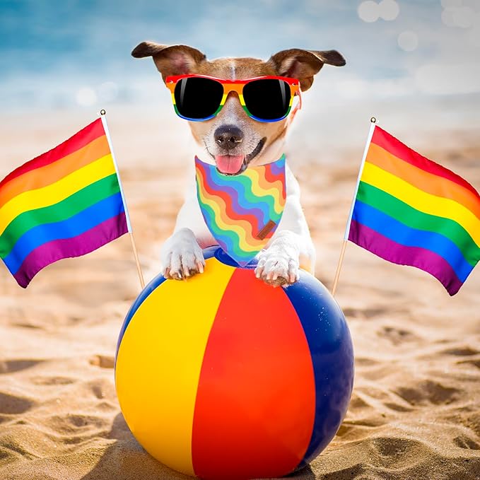 PTDECOR Rainbow Dog Bandanas Pride Day Dog Scarf Reversible Triangle LGBT+ Rainbow Bandanas for Small Dogs Pets (Pride, Small)