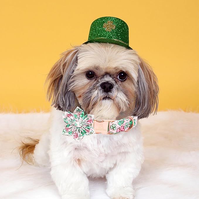 Lionheart glory St. Patrick's Day Dog Collar with Flower Dog Collars for X-Small Dogs, Heavy Duty Green Collars Lucky Clover Shamrock Dogs Collar Flower Puppy