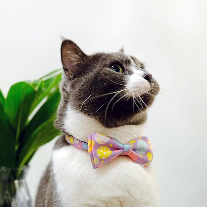2 Pack Easter Day Cat Collar with Bow Tie, Holiday Spring Easter Eggs Collar for Boys and Girls Male Female Kitty Kittens