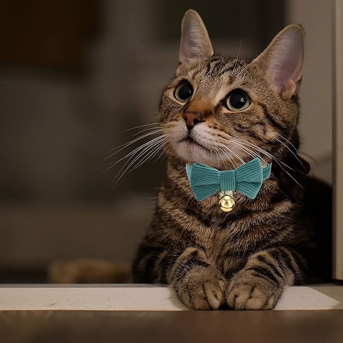 Cotton Breakaway Cat Collar with Bow Tie and Bell, Adjustable Cute Soft Corduroy Kitten Collars for Girl and Boy Cats