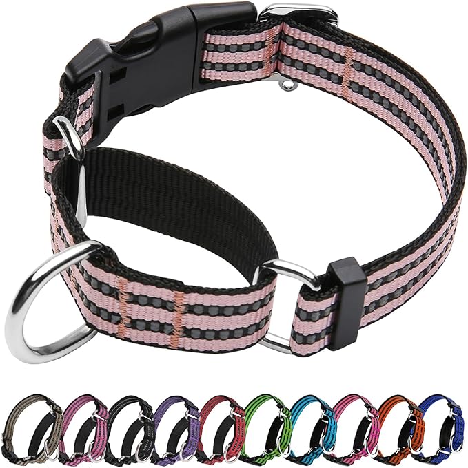 Martingale Dog Collar, Adjustable Nylon Reflective Collar with Quick Release Buckle (Light Pink, Medium)