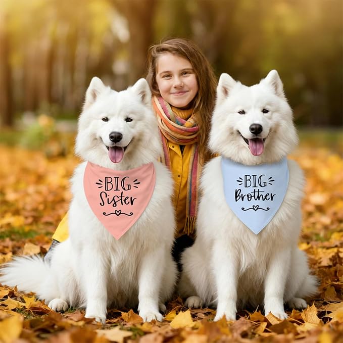 2 Pack Big Sister Big Brother Dog Bandanas, Adjustable Pet Bandana for Pregnancy Announcement, Soft Triangle Scarf for Small Medium Large Dogs, Puppy Sibling Reveal Accessories