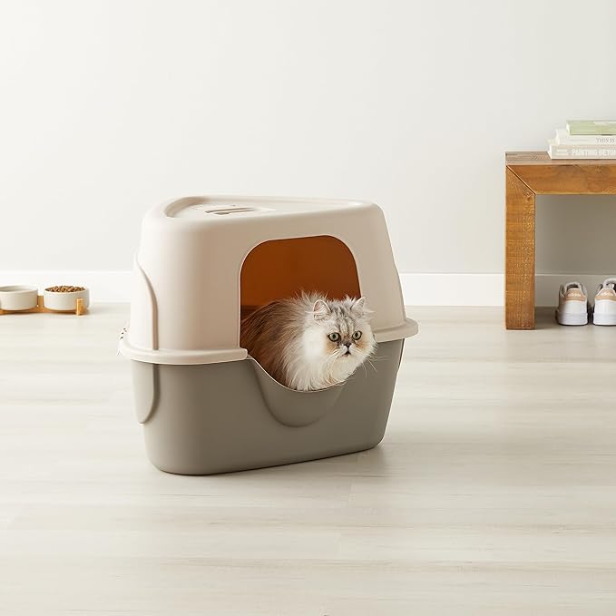 Amazon Basics Cat Litter Box with Lid, No-Mess, Enclosed Spacious Design with Odor Control, Charcoal Filter, 26" x 23" x 20", Charcoal