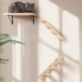 Wall Mounted 1 Pack Cat Shelf with 2 Pcs Two Steps Climber Stairs - Modern Cat Wall Furniture for Climbing, Lounging, and Playing - Perfect Hammock for Indoor Cats or Kitty