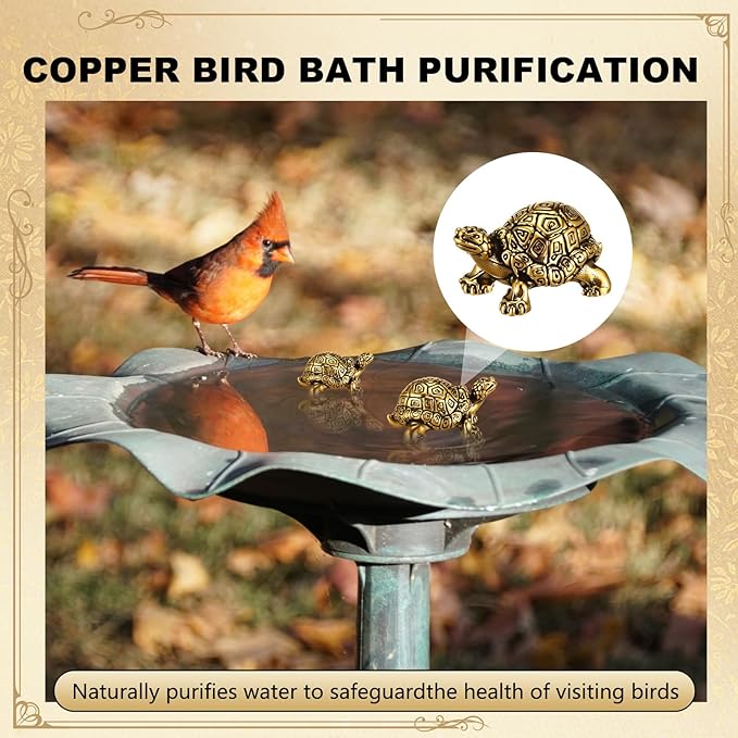 4 Pcs Mini Copper Bath Disk Ornaments Brass Bird Bath Purification Disks Birdbath Cleaner Single 0.6 oz Weight Universal Fit for Outdoor Birdbaths, Bowl(Turtle)