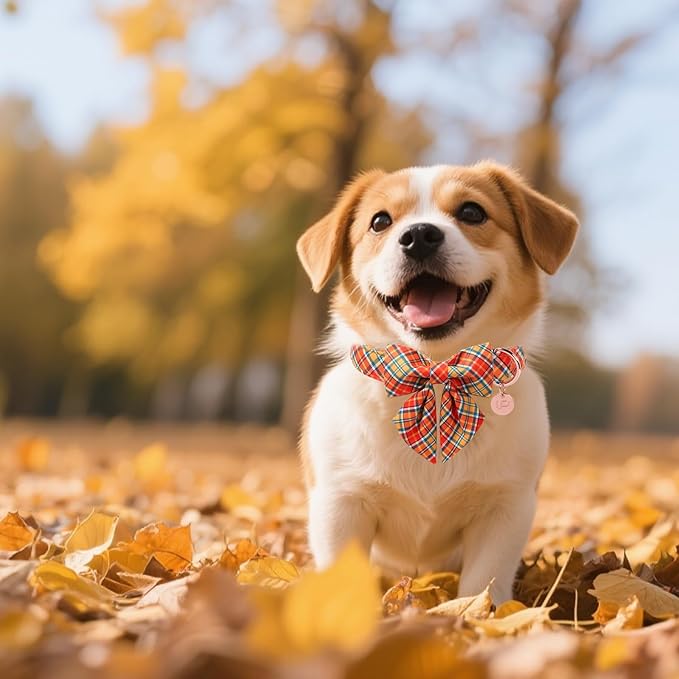 Autumn Plaid Dog Collar and Bow Tie Set – Orange Yellow Checkered Adjustable Fall Collar with Maple Leaf Charm for Small Medium Large Dogs, Soft Cotton Pet Collars with Buckle and D-Ring
