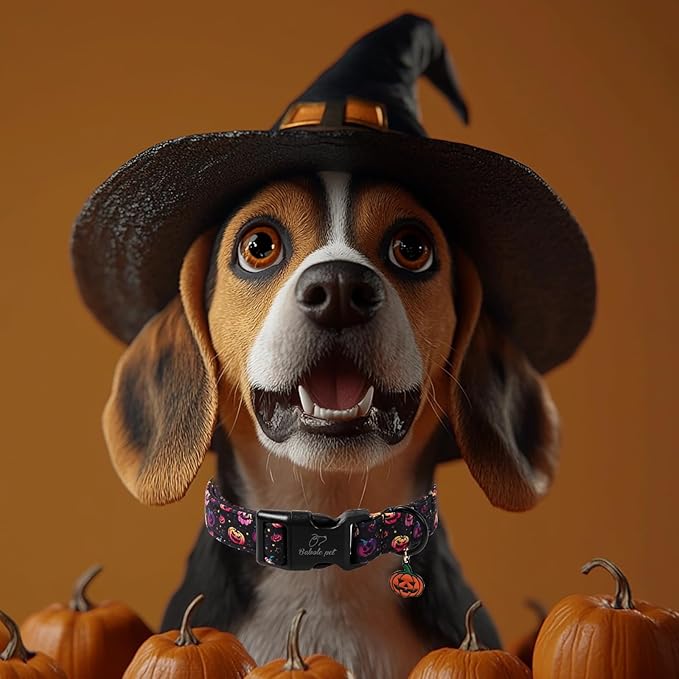 Halloween Dog Collar Spooky Fun Pumpkin Puppy Collar - Light Comfortable Adjustable Pet Collars for Small Medium Large Girl Boy Dogs S