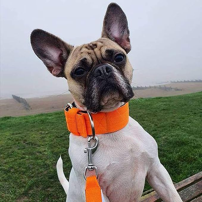 Heavy Duty Tactical Dog Collar - 1.5" Width Military Durable Thick Nylon with Adjustable Metal D Ring & Buckle Working Training K9 Collar for Medium Large Dogs (XL(23"-26"), Orange)