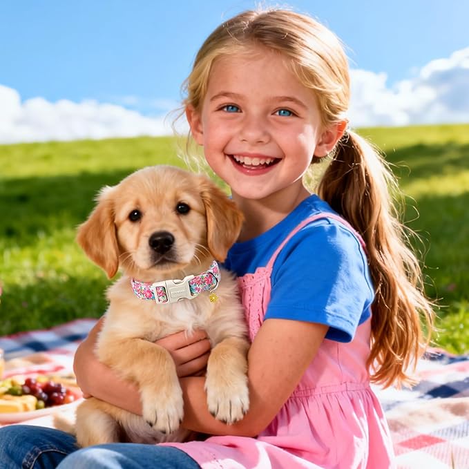 DOGWONG Spring Flower Dog Collar-Cute Floral Daisy Dog Collar, Adjustable Soft Girl Female Dog Collar for Small Medium Dogs, M