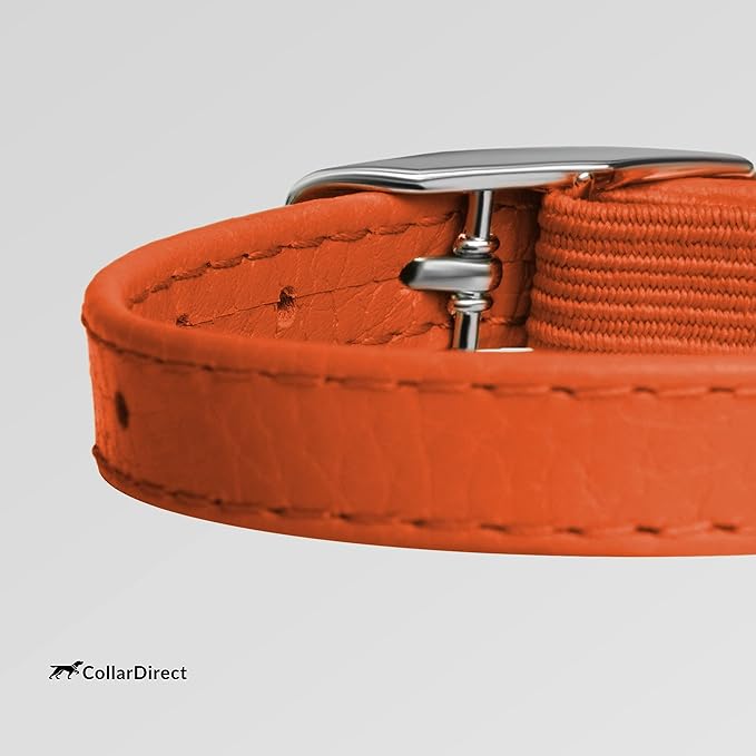 CollarDirect Leather Cat Collar, Kitten Collar with Removable Bell Black Blue Red Orange Lime Green (8-11 Inch, Orange)