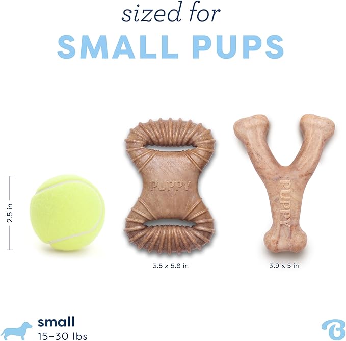 Benebone Puppy 2-Pack Dental Chew/Wishbone Real Bacon Small