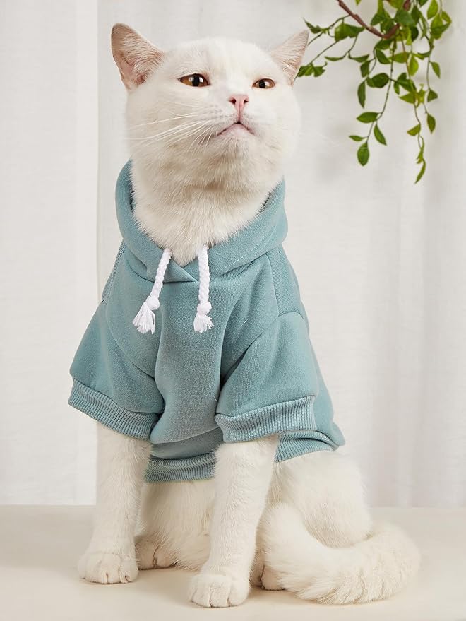 QWINEE Basic Dog Hoodie Sweatshirt Puppy Sweater Warm Cat Costumes Pet Clothes for Chihuahua Puppy Kitten Small Medium Dogs Multicolored Medium