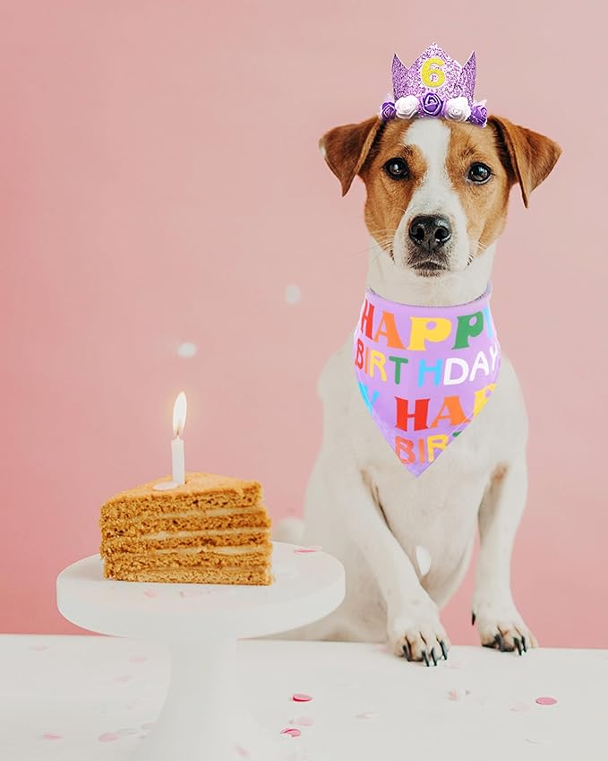 PET SHOW Purple Crown Dog Birthday Party Hat with Bandana Set for Girls Reusable Party Supplies Cat Kitten Headband with 0-9 Numbers Charms Costume Accessories with Glue