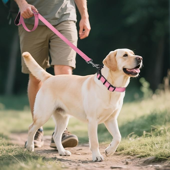 Joytale Reflective Dog Collar, Soft Neoprene Padded, Metal D-Ring, Nylon Pet Collar Adjustable for Large Dogs, Pink, L