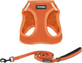 Best Pet Supplies Voyager Step-in Air All Weather Mesh Harness and Reflective Dog 5 ft Leash Combo with Neoprene Handle, for Small, Medium and Large Breed Puppies - Harness Leash Set (Orange), M