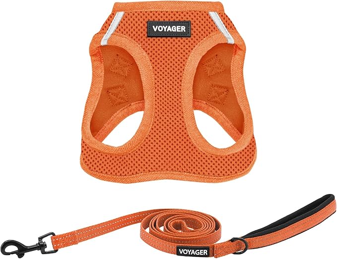 Best Pet Supplies Voyager Step-in Air All Weather Mesh Harness and Reflective Dog 5 ft Leash Combo with Neoprene Handle, for Small, Medium and Large Breed Puppies - Harness Leash Set (Orange), M