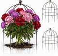 BreezeHug 3 Pack 24 H Peony Cage Climbing Plant Trellis Bird Cage Plant Support Through Flower Support for Perennial Flowers, Vintage Gold
