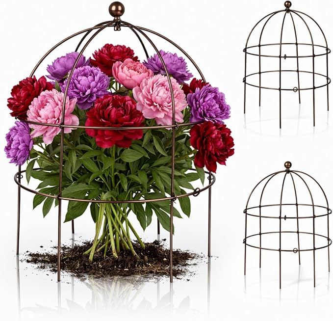 BreezeHug 3 Pack 24 H Peony Cage Climbing Plant Trellis Bird Cage Plant Support Through Flower Support for Perennial Flowers, Vintage Gold