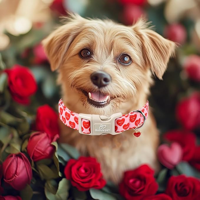 Valentines Dog Collar for Small Dogs - Valentine Red Conversation Hearts Dog Collars, Love Boy Girl Dogs Collars, Lightweight Adjustable Cute Puppy Collar with Quick-Release Buckle S