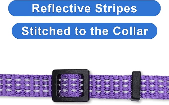 Pawtitas Reflective Purple Cat Collar with Safety Buckle and Removable Bell for Kitten and Cats