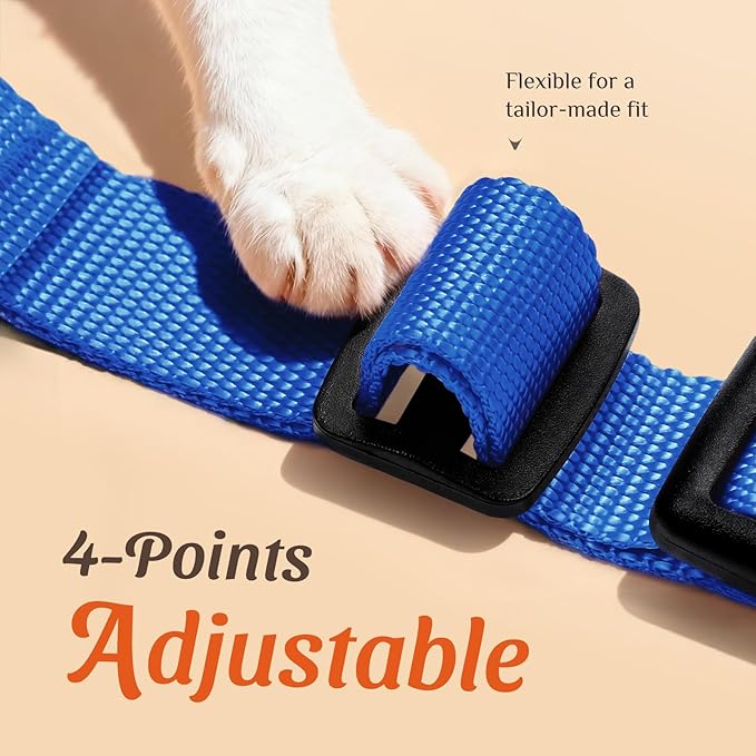 Dooradar Cat Harness and Leash Set, Escape Proof Safe Adjustable Kitten Vest Harnesses for Walking, Easy Control Soft Breathable Mesh Jacket with Reflective Strips for Cats, Blue, XXS