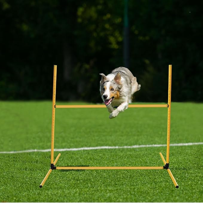 6 Pcs Dog Agility Training Equipments Dog Agility Jumps Hurdles Adjustable Jumps Hurdles Pet Jump Bars with Bag and Whistle for Indoor Outdoor Dogs Pet Jump Course Game(Yellow)
