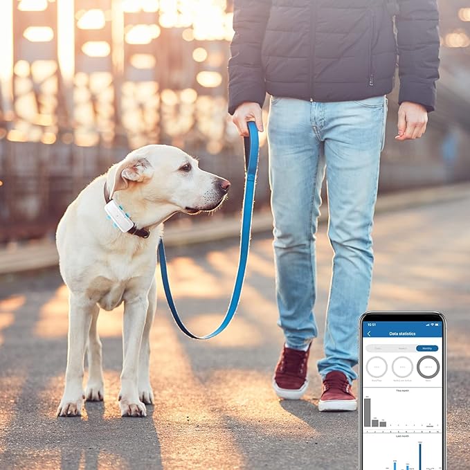 Zeerkeer 4G Pet GPS Tracker Waterproof Real-time Mini Pet Cat Dog GPS Tracker Locator Pet Location & Activity Trackers Collar for Dogs, Cats, Pets,Kids,Elders, Free APP/Web Platform Control