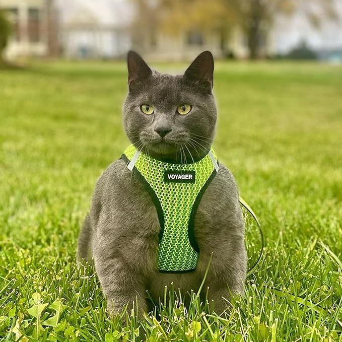 Best Pet Supplies Voyager Step-in Air Harness - All Weather Mesh, Reflective, No Pull Harness for Dogs, Cats - Secure with Hook & Loop Fastener, Buckle, Double D-Rings - Lime Green 2-Tone, S