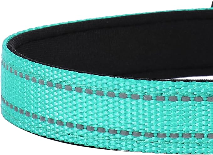 Reflective Dog Collar, Adjustable Soft Neoprene Padded Nylon Pet Collars with Buckle for Puppy and Small Dogs, Cats, Teal,XS