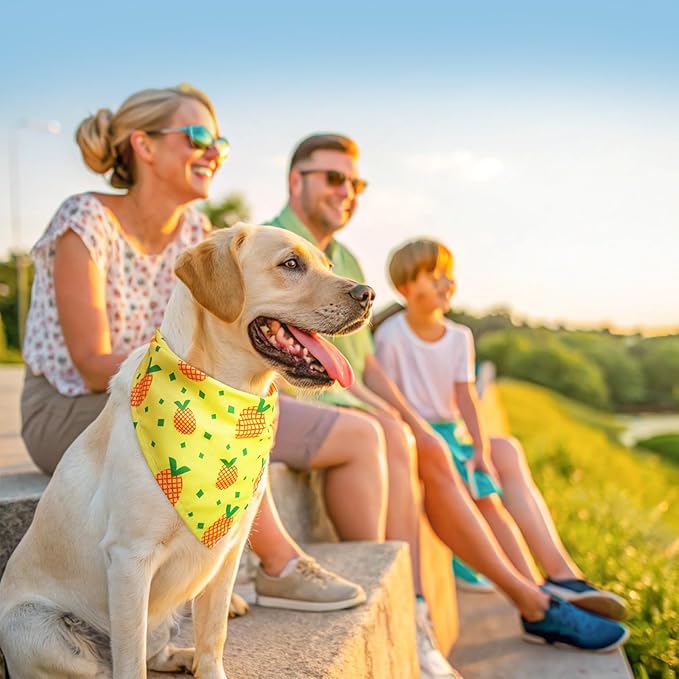 SCENEREAL 30 PCS Dog Bandanas Bulk, Summer Pet Bibs for Small Medium Large Dogs, Colorful Triangle Scarves, Puppy Holiday Birthday Neckerchief Costume Decoration