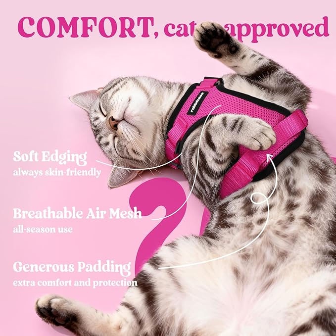rabbitgoo Cat Harness and Leash for Walking, Escape Proof Soft Adjustable Vest Harnesses for Cats, Easy Control Breathable Reflective Strips Jacket, Rose Red, XXS