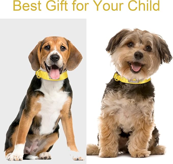 Nylon Dog Collar - Adjustable Yellow Soft Webbing Dog Collars for Small Medium Large Dogs Boy Girl Puppy Collar with Safety Metal Buckle M
