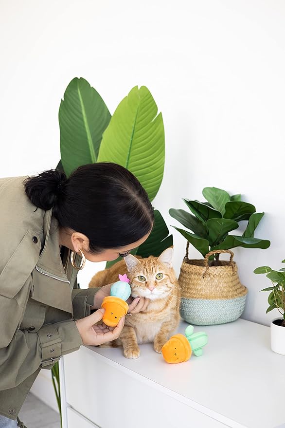 Pearhead Prickly Plants Cat Toy Set, Cute Catnip Toys, Plush Cactus Interactive Chew Toys, Pet Owner Must Have Catnip Toys, Set of 2 Plush Toys