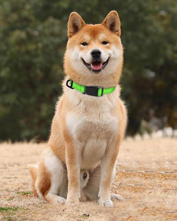 TagME Reflective Nylon Dog Collars, Adjustable Classic Pet Collar with Quick Release Buckle for Medium Dogs, Green, 1.0" Width