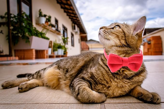 Cat Collar Breakaway with Bell and Removable Bow Tie Safety Buckle Velvet Adjustable 7-11 inches for Kitten Cats (Red)