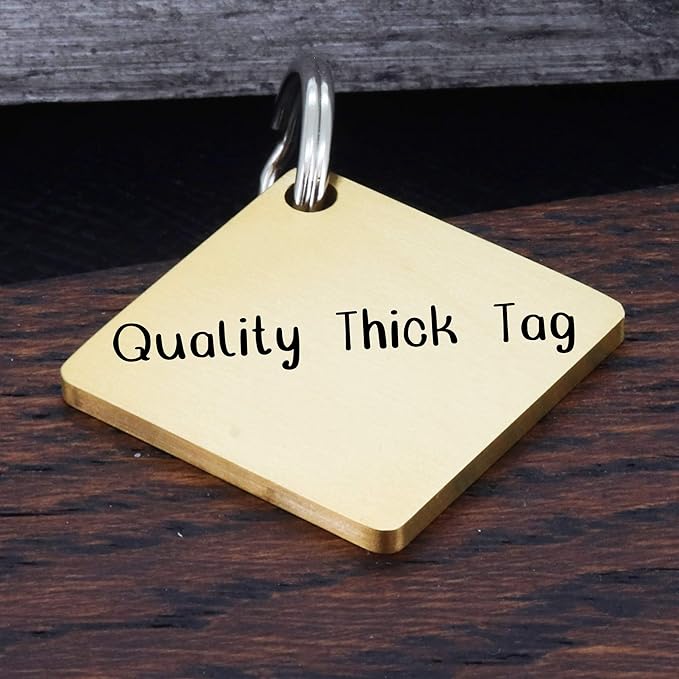Ultra Joys Dog ID Tag, Custom Dog Tag Personalized Cat Tag, Pet ID Tag, Brushed Stainless Steel Diamond Dog Tag Gold Medium